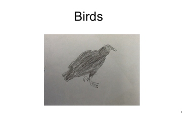 Vulture | Educreations