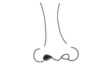 Nose | Educreations