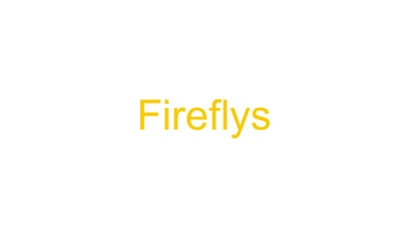 Fireflys | Educreations