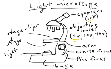 Ancient China: Geography's Impact - Lessons - Tes Teach