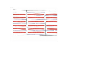 Muscle Structure