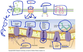 Cell Transport 1c-d